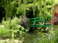 A japán híd aráfutó lilaakáccal, a festő sok képének témája